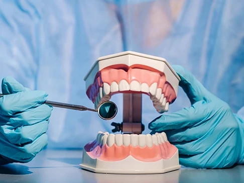 Imagen de una maqueta que representa la odontología general en Ciudad Real